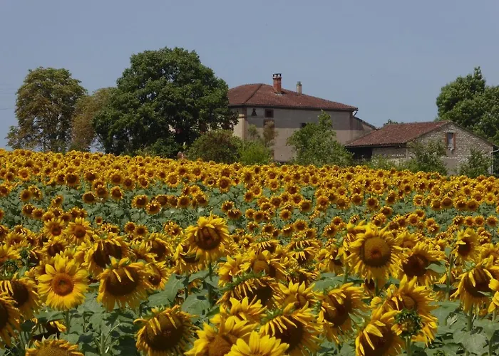 Les Campsis Hébergement de vacances Saint-Antonin